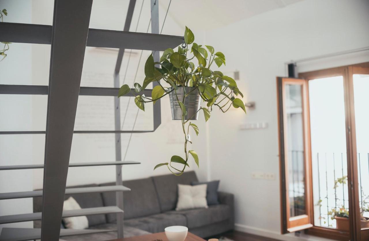 Grupo Limcotel Loft Trigo 13 Piscina Кордоба Екстериор снимка